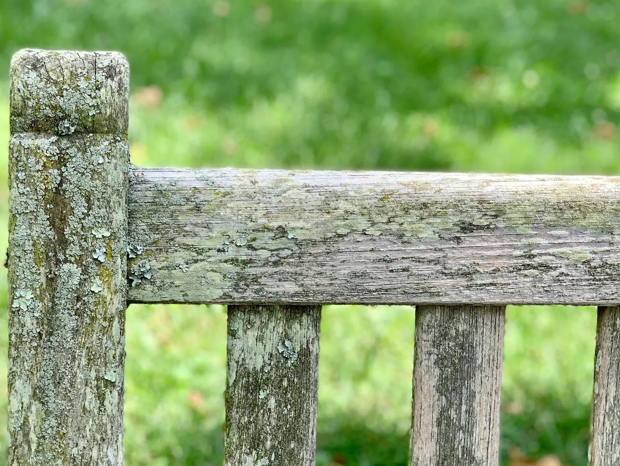 Wie kann man Grünalgen von Gartenmöbeln entfernen?