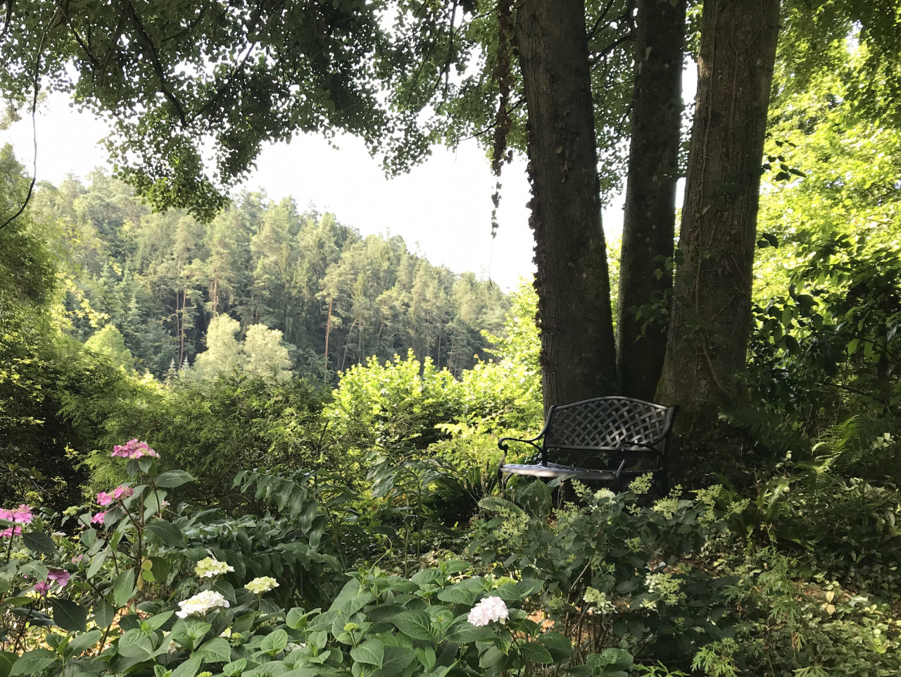 Boomhars van tuinmeubelen verwijderen